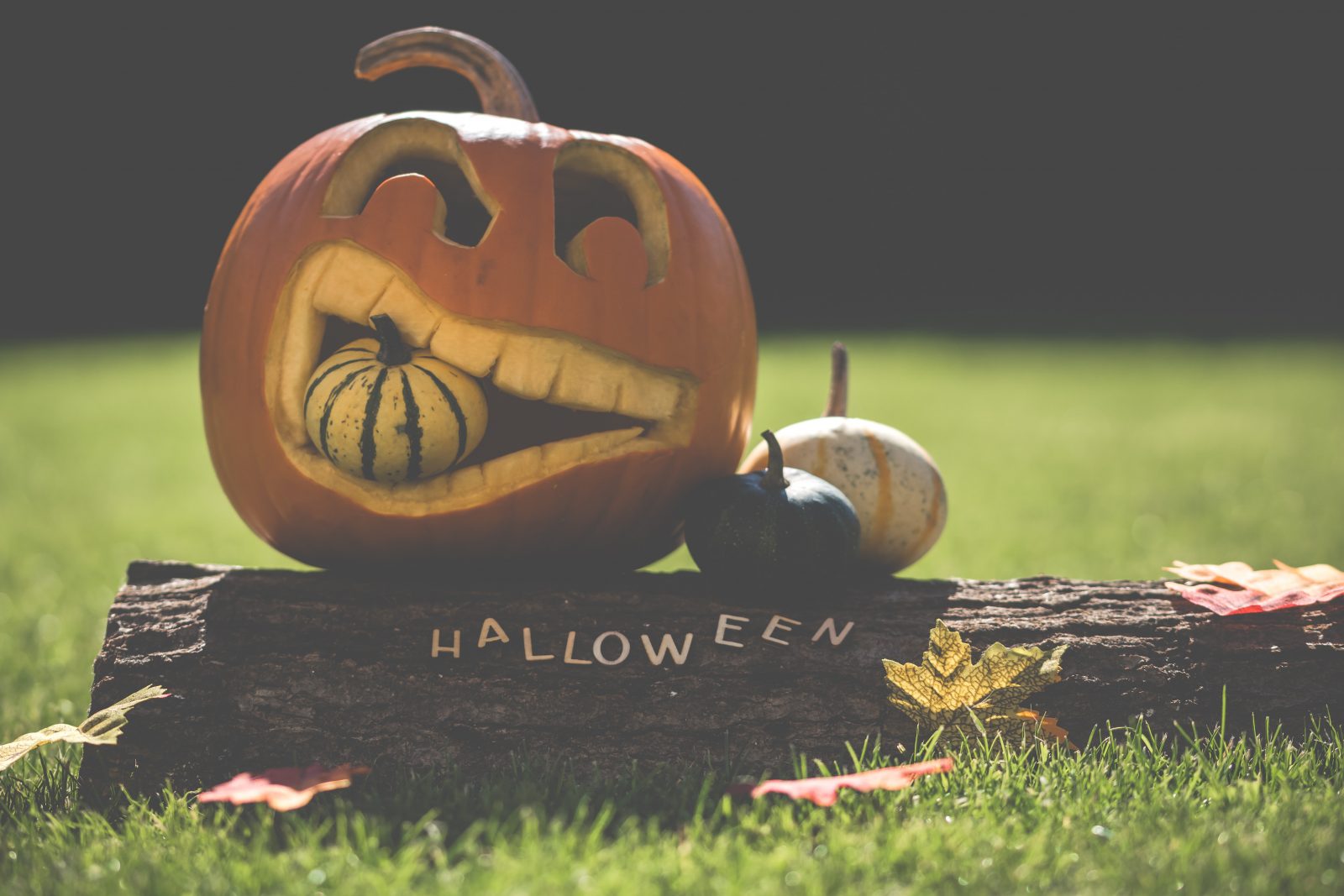 Halloween - ciekawostki Blog  